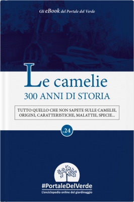 Le Camelie, 300 anni di storia