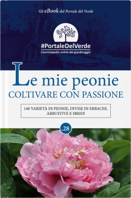 Le mie Peonie, coltivare con passione