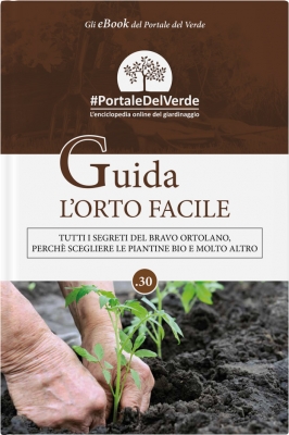 Guida l'orto facile