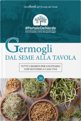 Germogli: dal seme alla tavola.