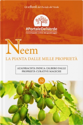 Neem, la pianta dalle mille proprieta'