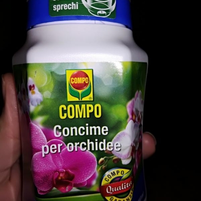 Concime liquido per Phalaenopsis e Miltonia: come usarlo?