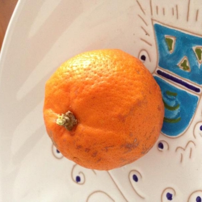 Pianta di limone che fa frutti simili a mandarini: come si spiega?