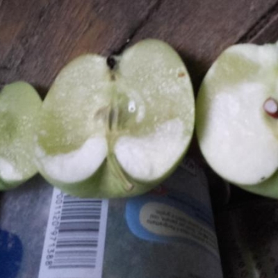 Piante di melo che fanno frutti rovinati all'interno: che problema hanno?