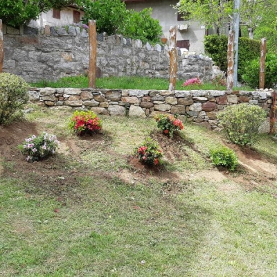 Quante azalee piantare nel mio giardino e come disporle?