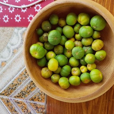 Arancio con cocciniglia ha perso molti frutti: cosa fare?