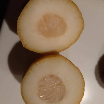 Frutto del limone con poca polpa: come mai?