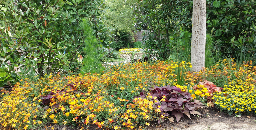 Presentazione delle nuove varietà di fioriture presso Floricoltura Proven Winners di Psenner