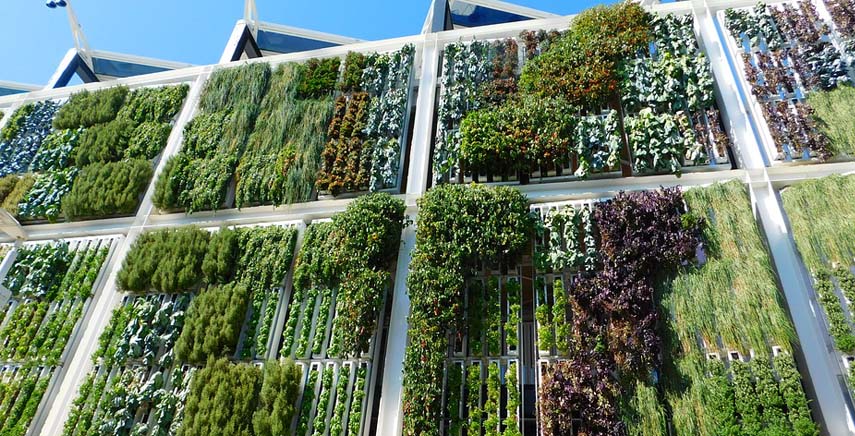 Verde verticale: perchè un giardino verticale? Giardino in verticale