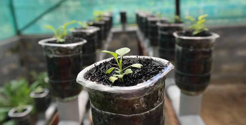 Cambiamenti climatici, aumento della popolazione, esaurimento dei terreni: come combatterle in agricoltura