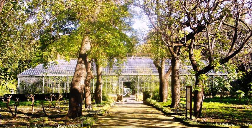 Perdersi nell’ombra dell’Orto Botanico di Palermo