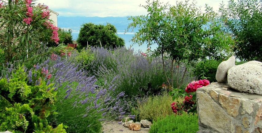 Un giardino in riva al mare: come creare e realizzare i giardini marittimi mediterranei