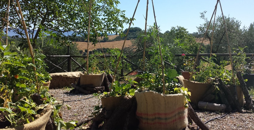 Orto giardino: la nuova frontiera del giardinaggio e della creatività