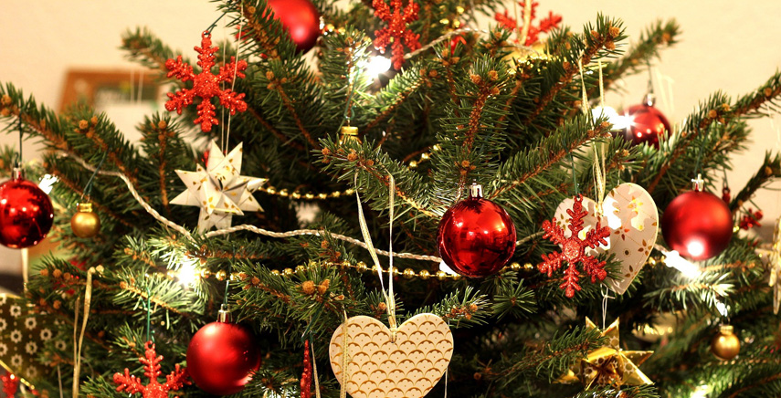 Alberi di Natale: le origini di questo simbolo delle feste e le specie botaniche più utilizzate