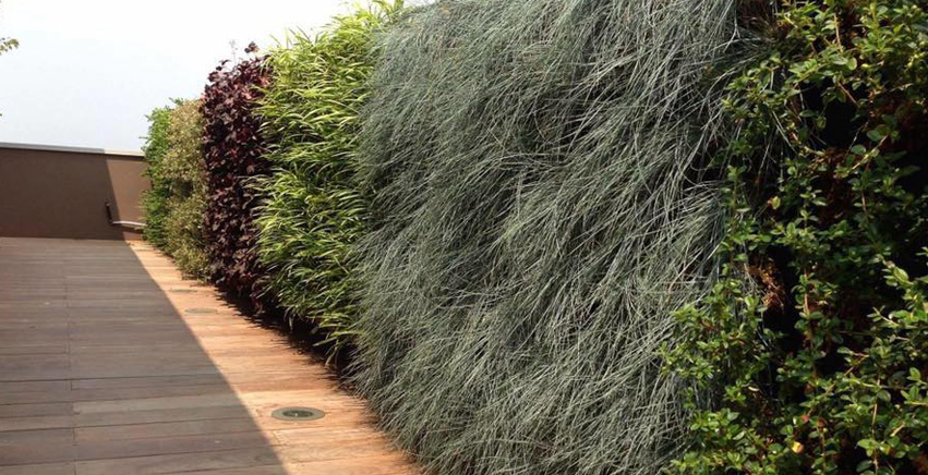Giardini verticali: scopri i vantaggi della realizzazione Giardino in verticale