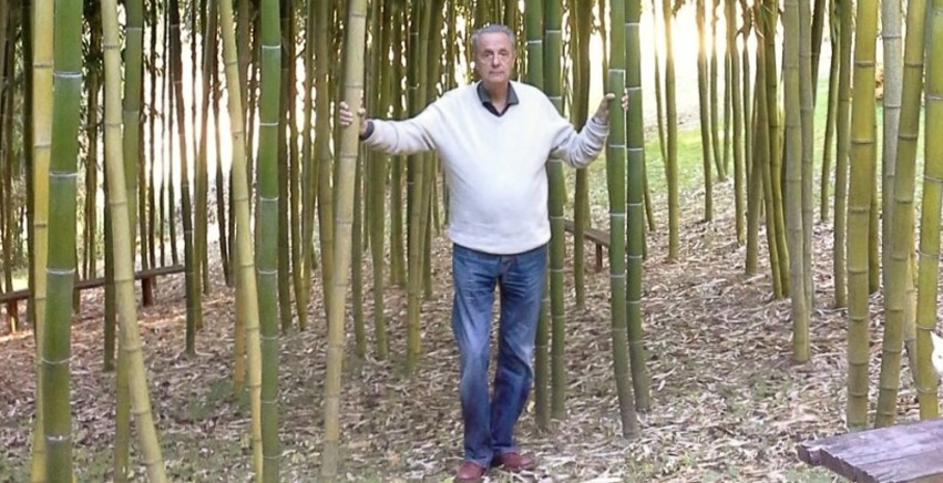Il nostro esperto di Bambù Gigante, Massimo Somaschini, ci spiega perchè ha scelto questa varietà