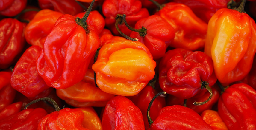 Peperoncino Habanero: lo conoscete?