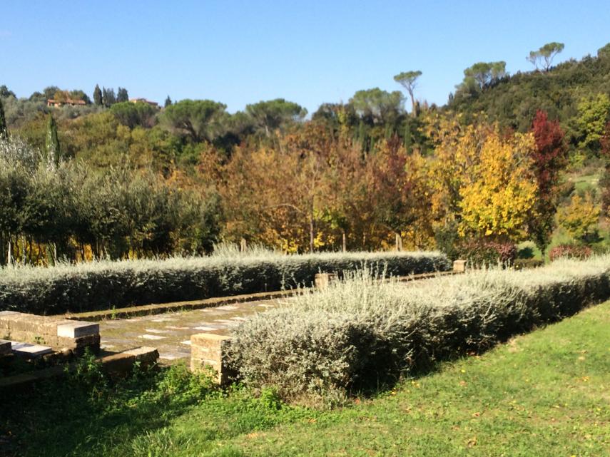 Il bosco della Ragnaia