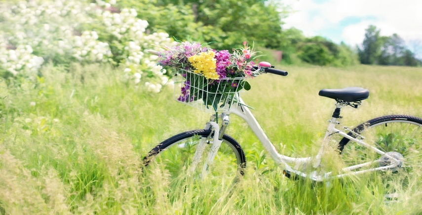 I 10 fiori da piantare in primavera