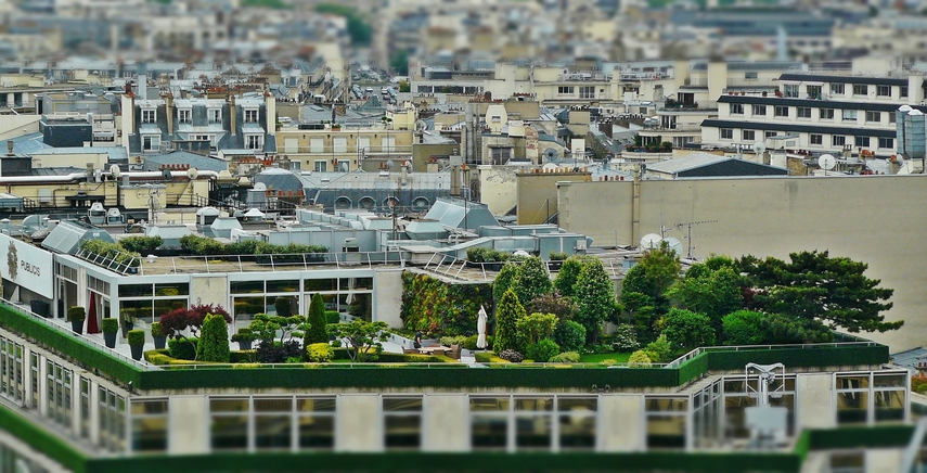 Come creare e gestire un orto sul terrazzo