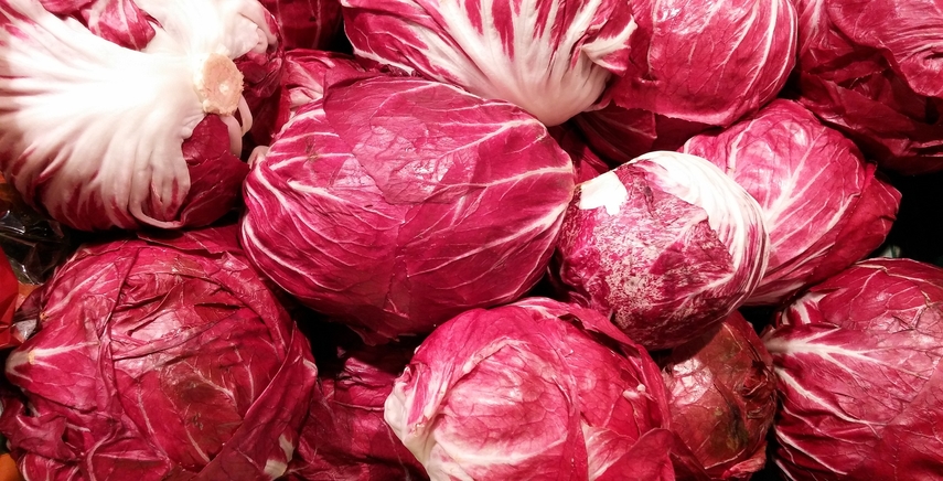 Come coltivare il radicchio nell'orto | La guida completa Come coltivare il radicchio nell'orto | La guida completa