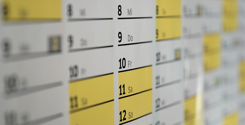 Il calendario della semina degli ortaggi in vaso