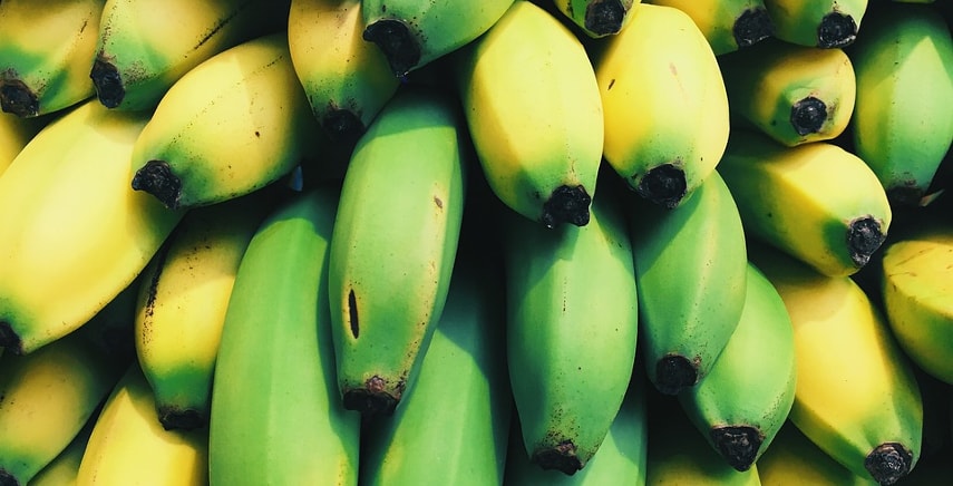 Banano: coltivazione e potatura