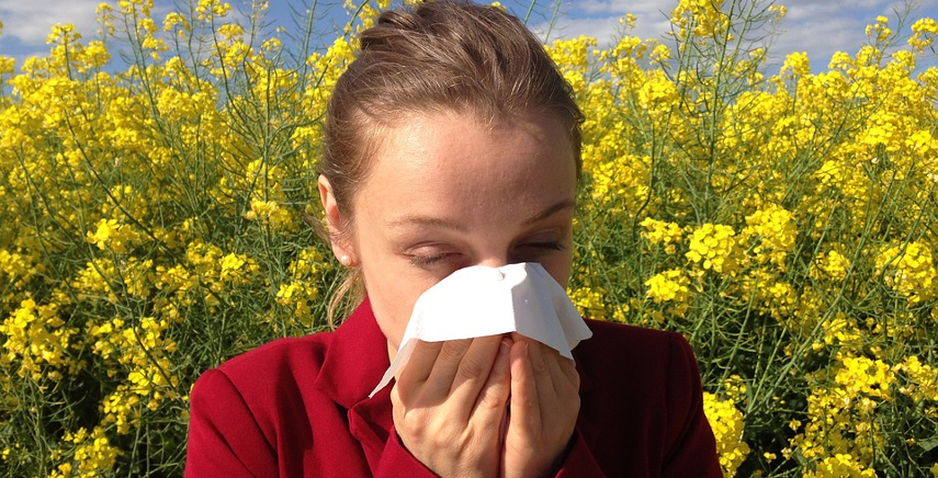 Quali sono le piante che provocano maggiori problemi di allergie?