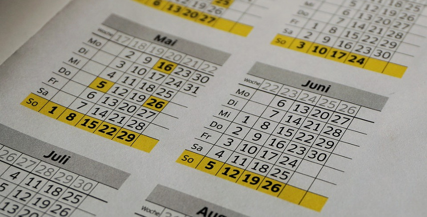 Il calendario annuale per il tuo orto