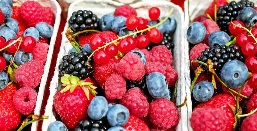 Frutti di bosco: le varietà più utilizzate