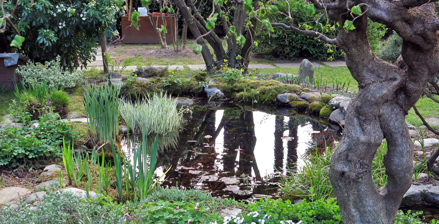 Realizzare un laghetto da giardino: cosa c'è da sapere