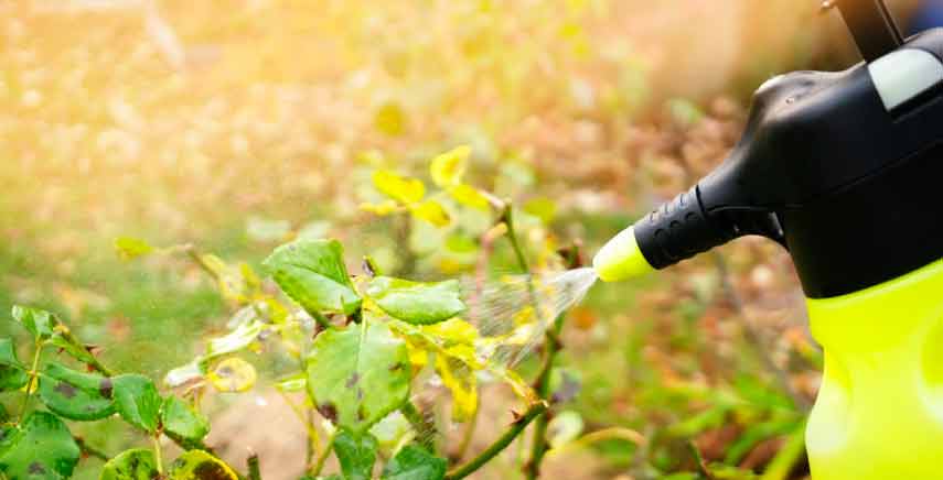 Bicarbonati di potassio: l'utilizzo nell'agricoltura