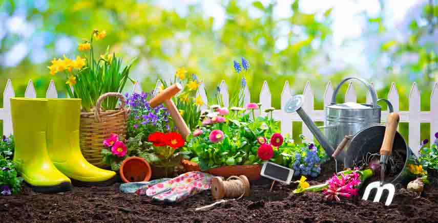 4 attrezzi o strumenti da avere per curare al meglio il proprio giardino