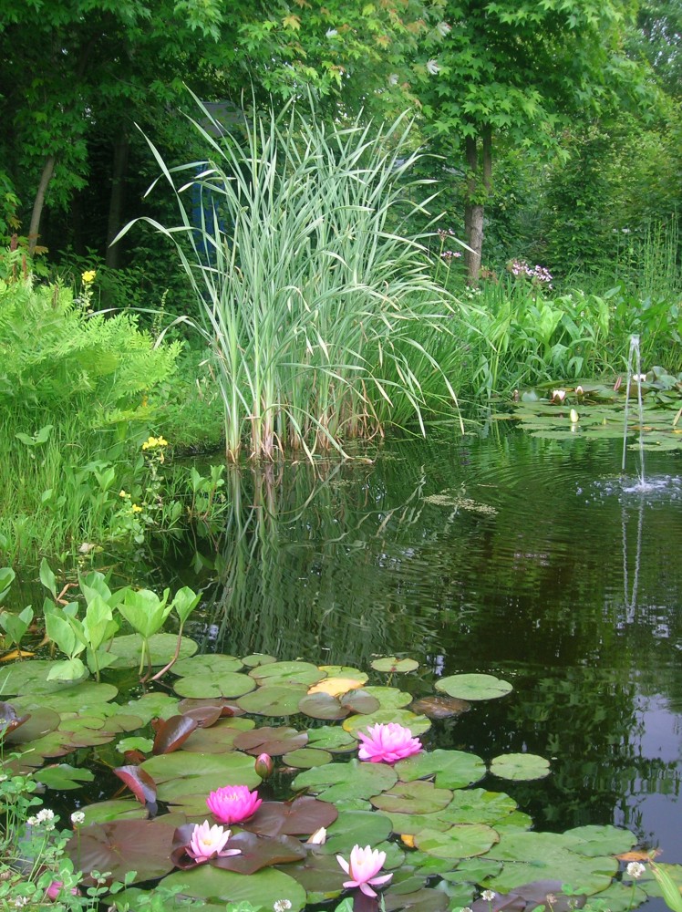 10 Pezzi Piante Acquatiche Finte Di Alga Casuale Per La