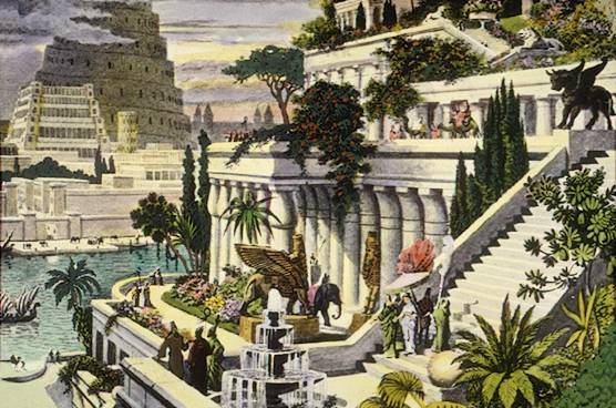 Giardino pensile scopri di più Giardini pensili cosa sono
