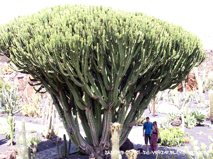 escursioni naturalistica a lanzarote in spagna