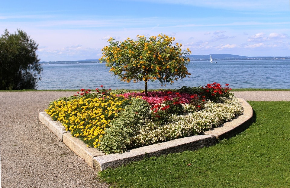 Aiuole: come creare un giardino piacevole e armonico Progettazione aiuole giardini
