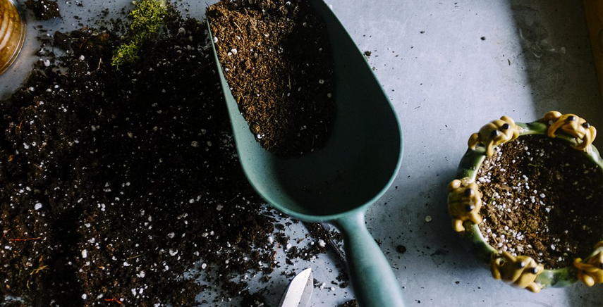 Lezioni di giardinaggio presso gli splendidi giardini della Landriana