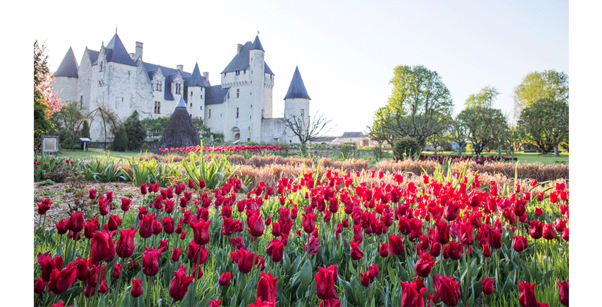 Risultati immagini per GIARDINI DEL CASTELLO DI RIVAU?