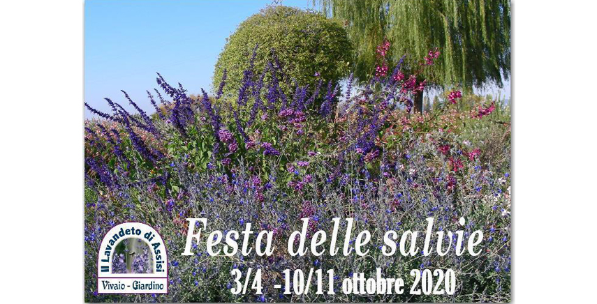 FESTA DELLE SALVIE - 3/4 e 10/11 OTTOBRE 2020