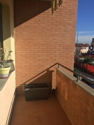 Quale pianta posso coltivare su un balcone che riceve molto sole e caldo in estate?