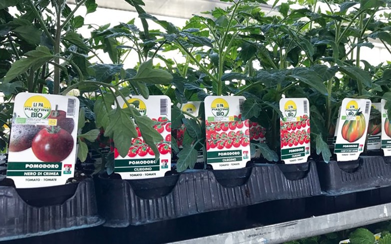 50 Etichette Per Piante In Alluminio 8x4,6 Cm - Cartellini Identificativi Riutilizzabili Per Giardino E Agricoltura