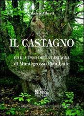 Il castagno ed il museo della castagna di Montegrosso Pian Latte