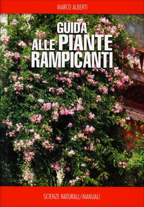 Guida alle pianti rampicanti